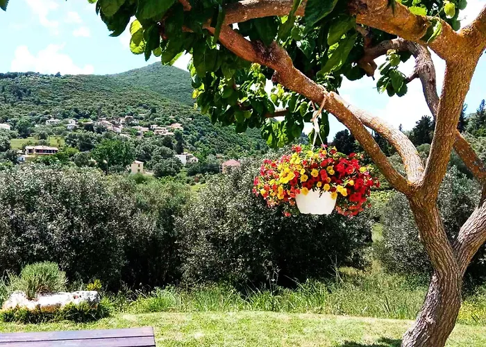 Lily Home_lefkada ~ Private * Kondaraíni